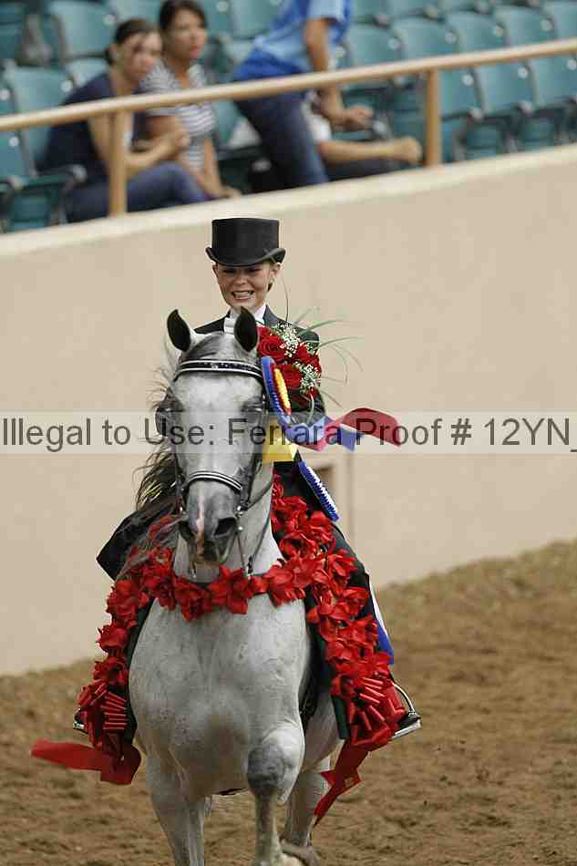 Proof Number 12yn_04906