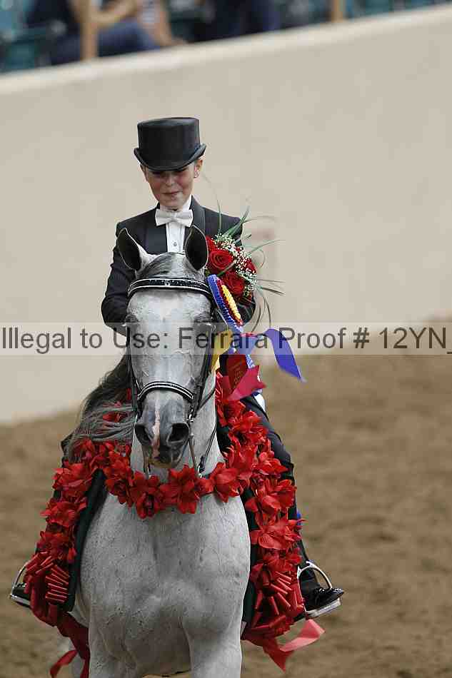 Proof Number 12yn_04907
