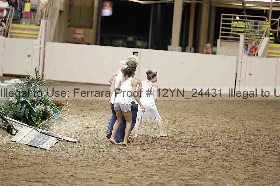 Proof Number 12yn_24431