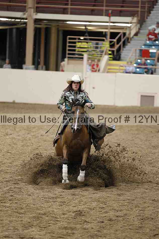 Proof Number 12yn_24490