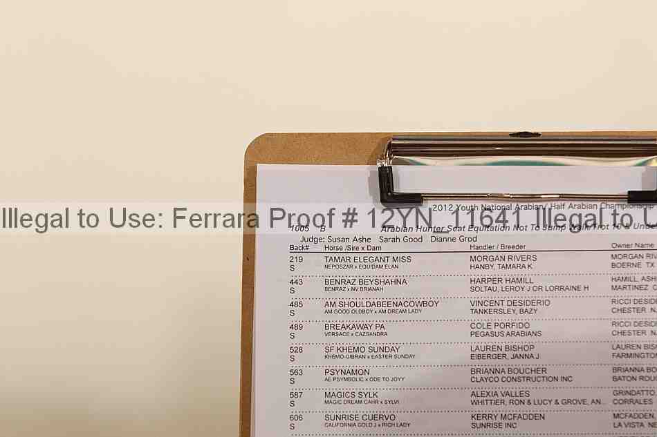 Proof Number 12yn_11641