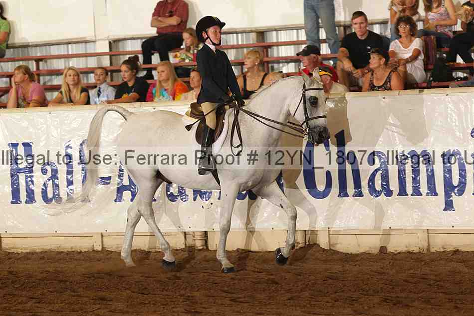 Proof Number 12yn_18071