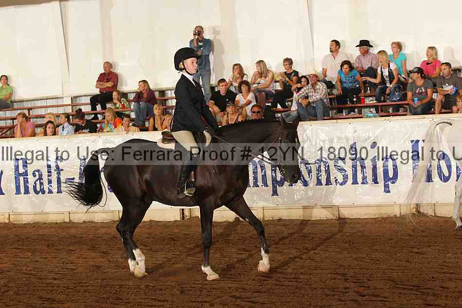 Proof Number 12yn_18090