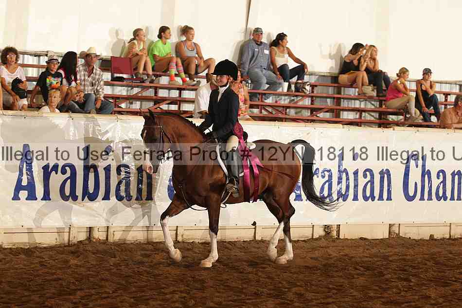 Proof Number 12yn_18118
