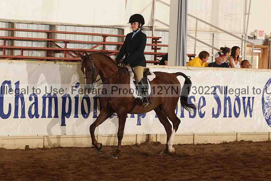 Proof Number 12yn_13022