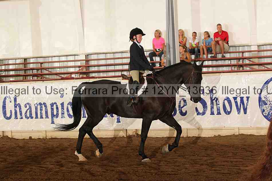 Proof Number 12yn_13036