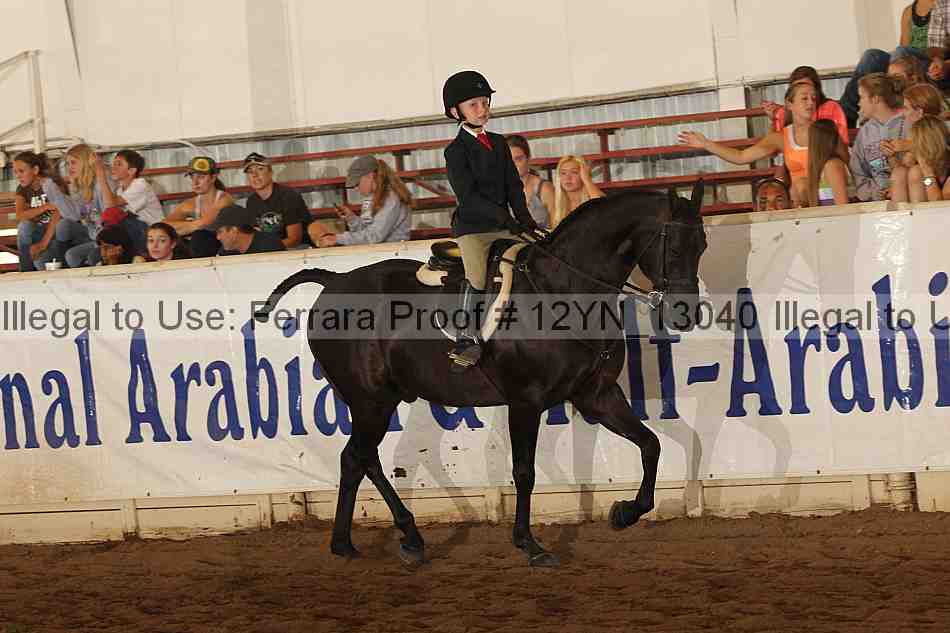 Proof Number 12yn_13040