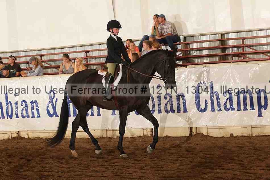 Proof Number 12yn_13041