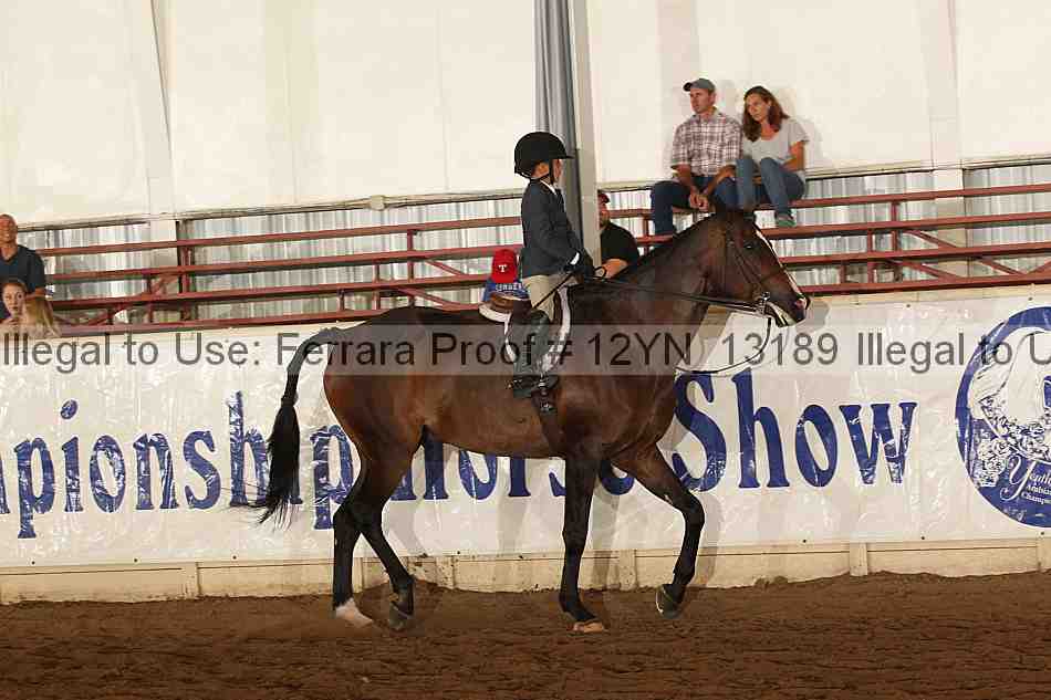 Proof Number 12yn_13189