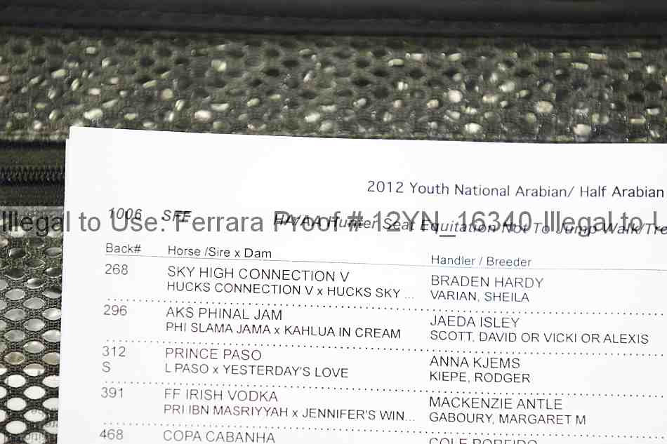 Proof Number 12yn_16340
