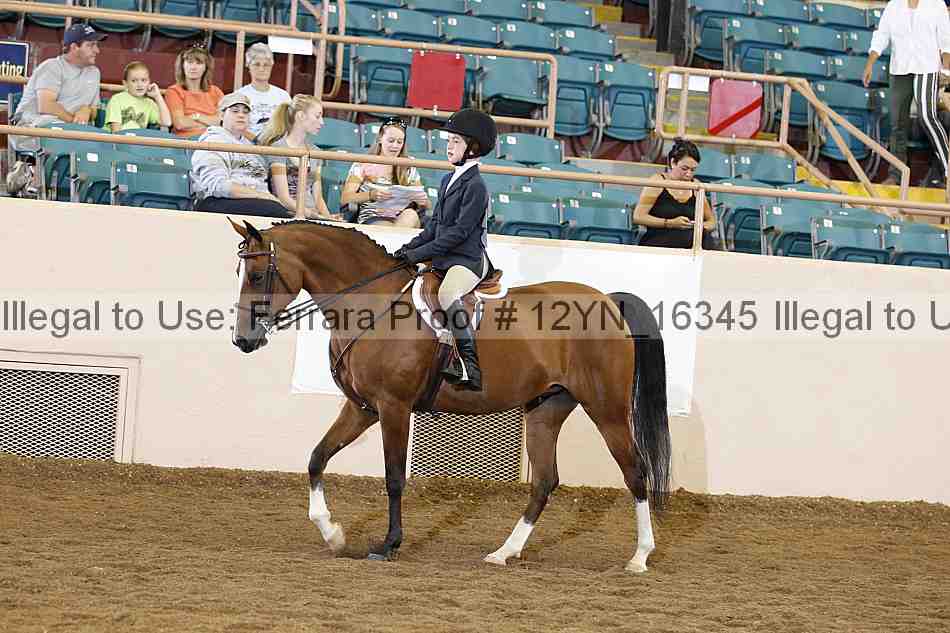 Proof Number 12yn_16345