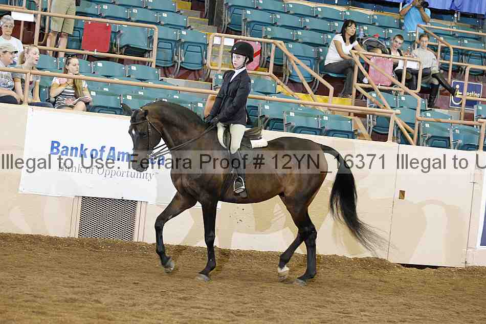 Proof Number 12yn_16371