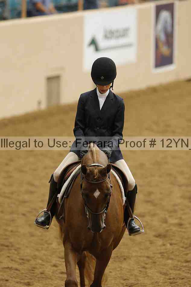 Proof Number 12yn_16376