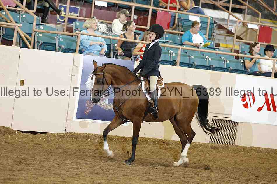 Proof Number 12yn_16389