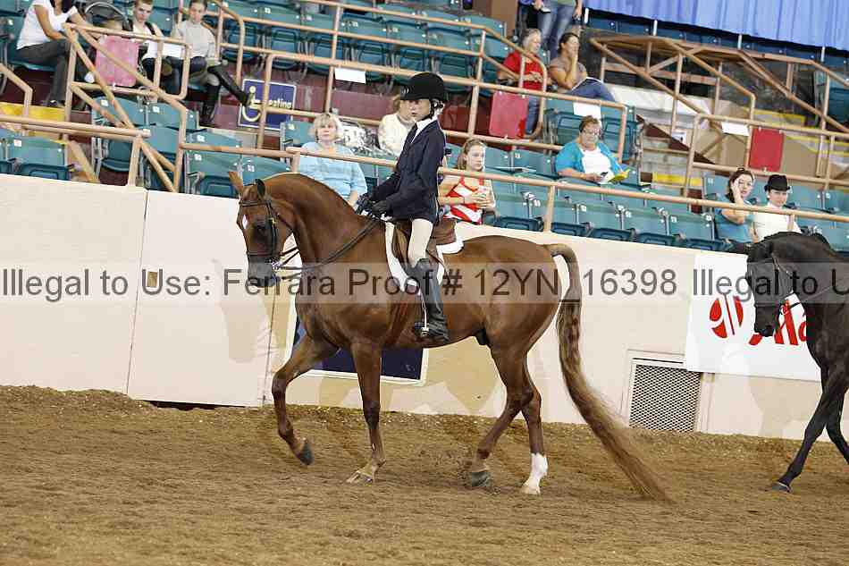 Proof Number 12yn_16398