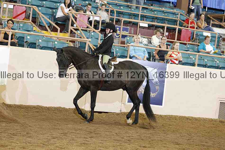 Proof Number 12yn_16399
