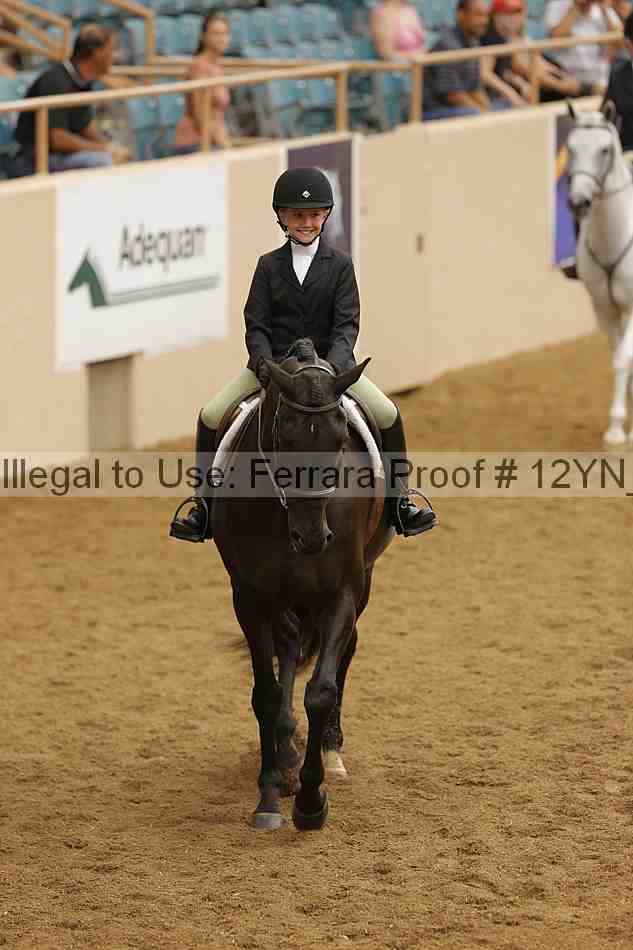 Proof Number 12yn_16401