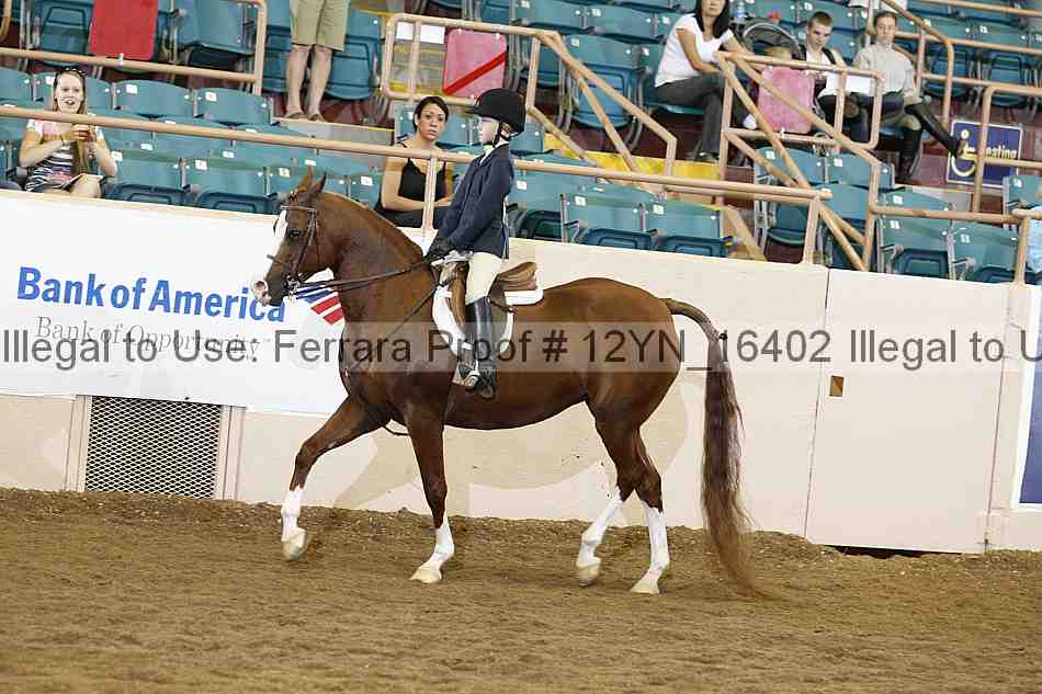 Proof Number 12yn_16402