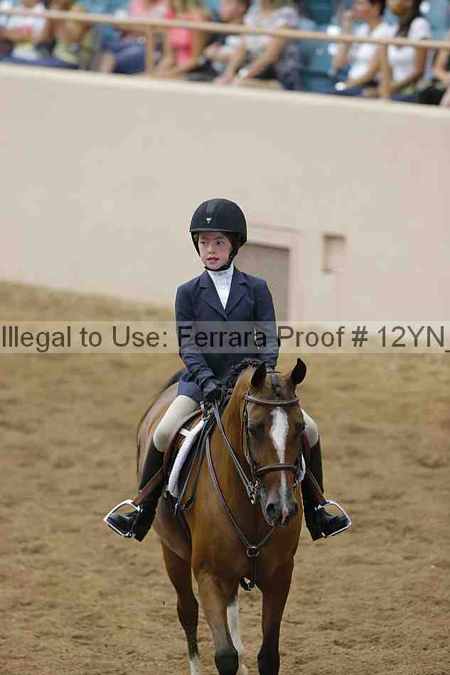 Proof Number 12yn_16418