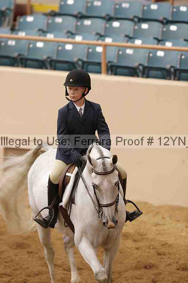Proof Number 12yn_16420