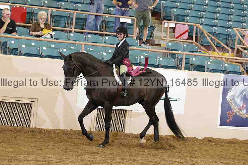 Proof Number 12yn_16485