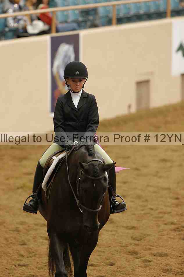 Proof Number 12yn_16491