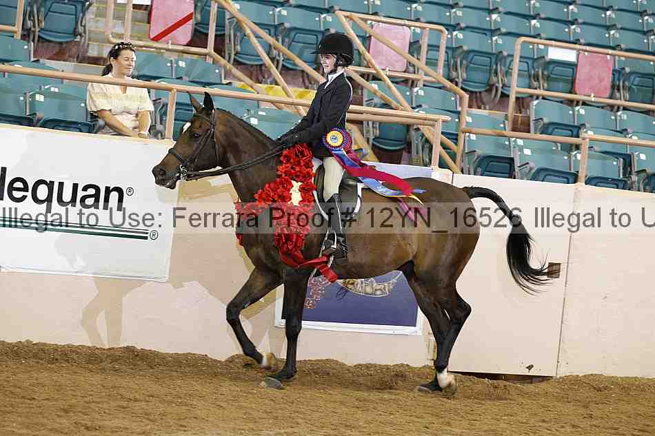Proof Number 12yn_16526