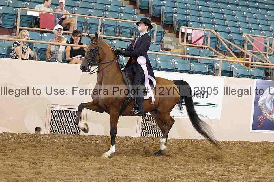 Proof Number 12yn_12805