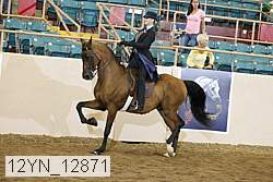 12yn_12871 thumbnail