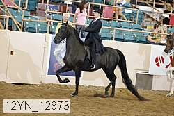 12yn_12873 thumbnail