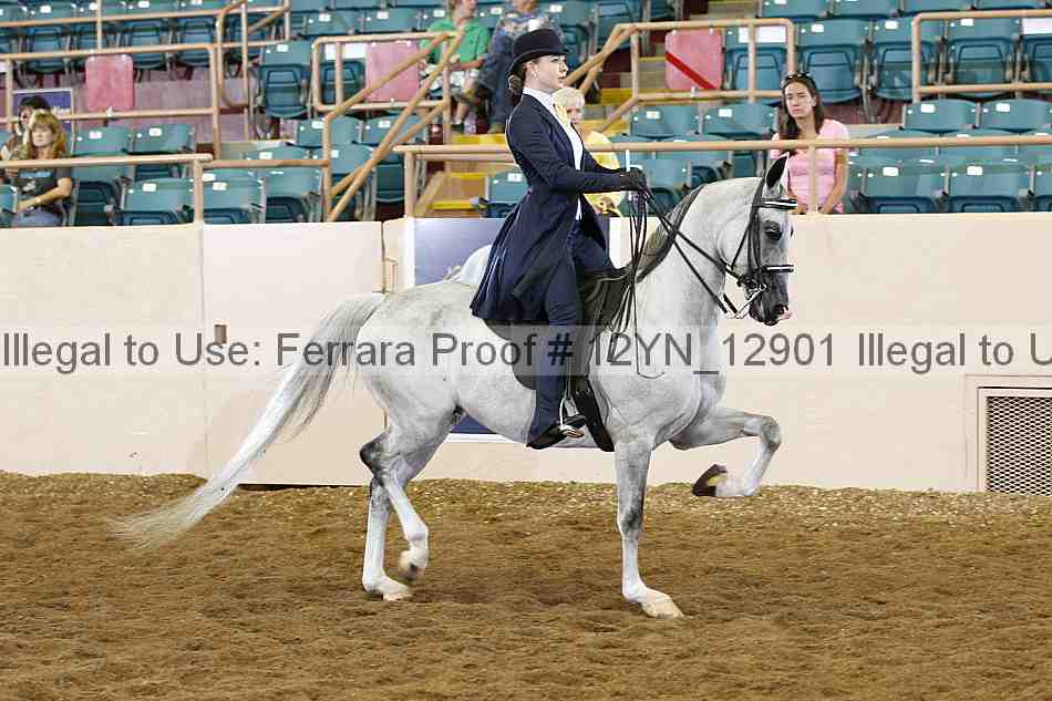 Proof Number 12yn_12901