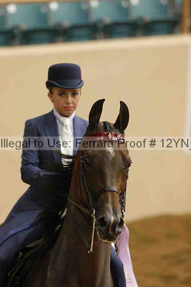 Proof Number 12yn_12928