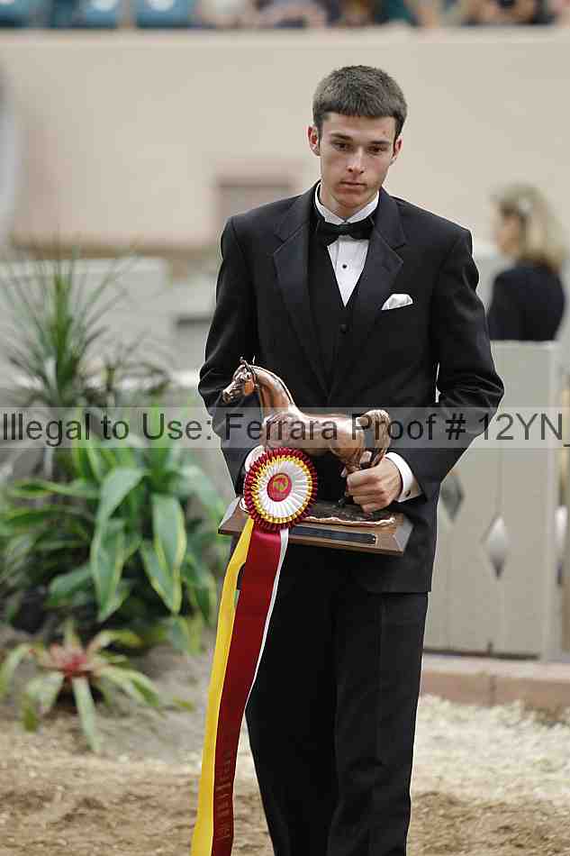 Proof Number 12yn_24222