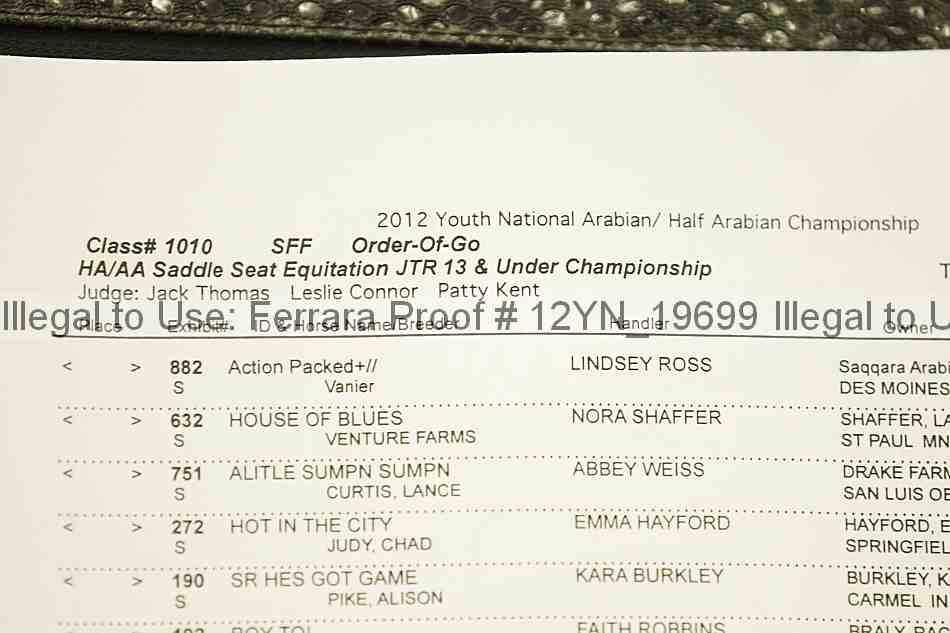 Proof Number 12yn_19699