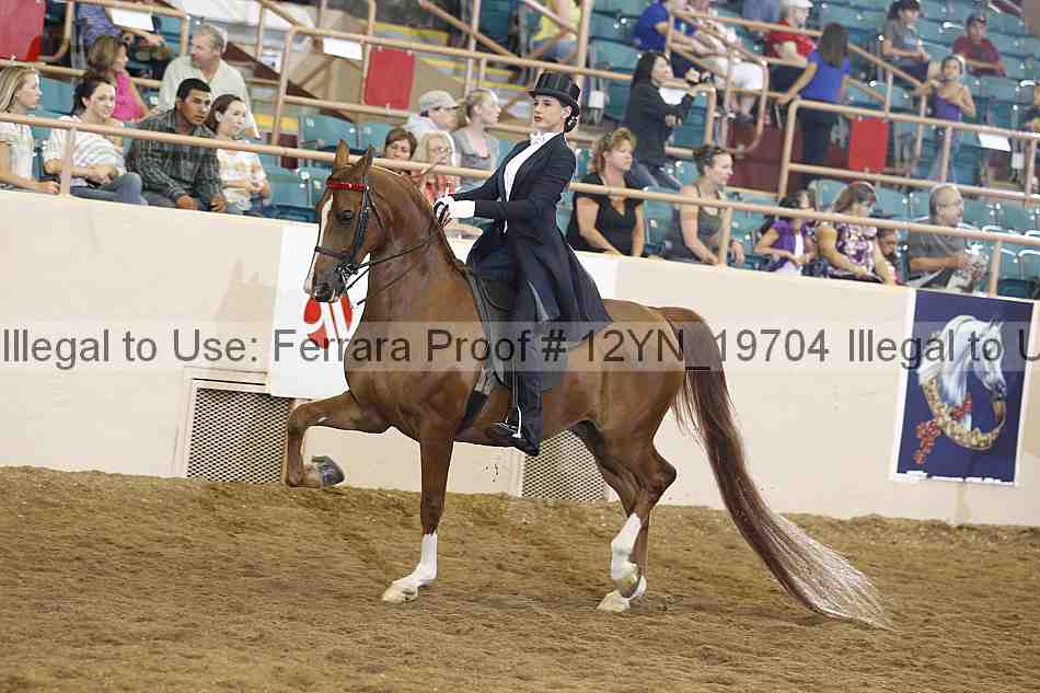 Proof Number 12yn_19704