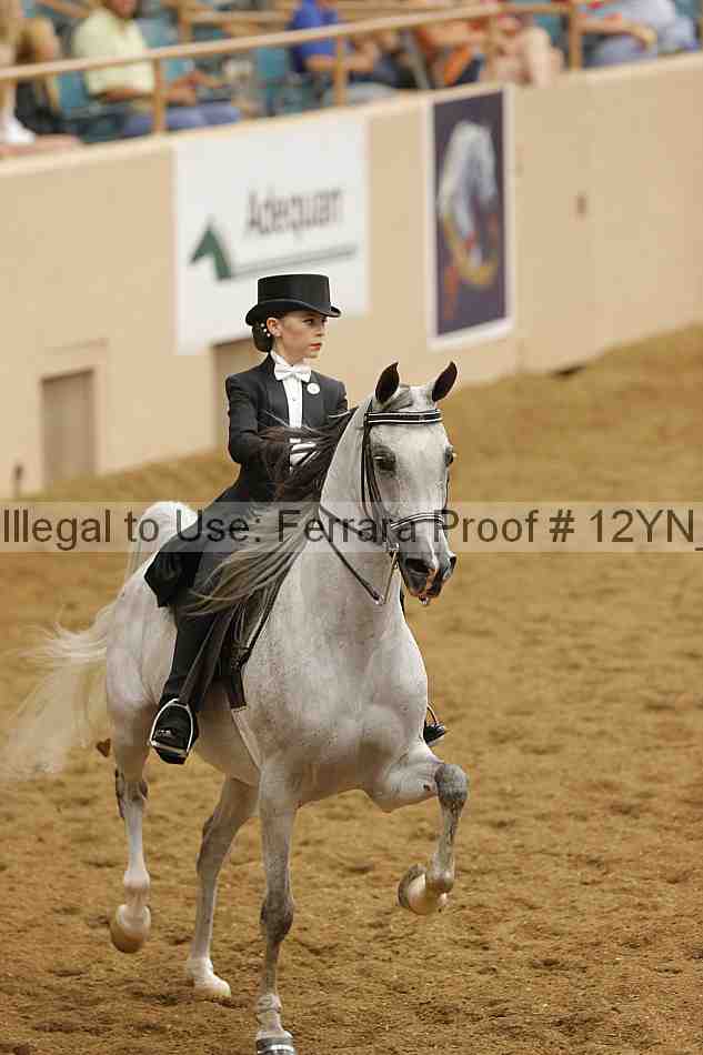 Proof Number 12yn_19720