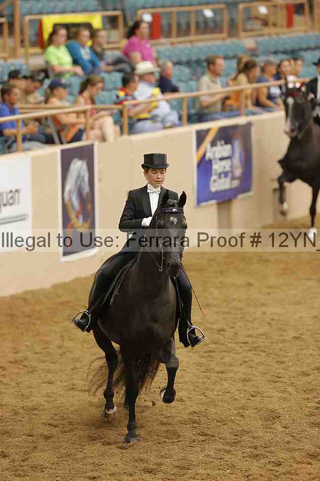 Proof Number 12yn_19724