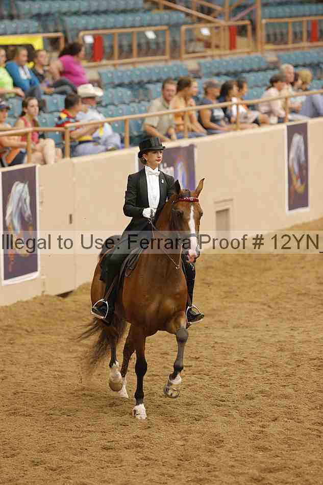 Proof Number 12yn_19729
