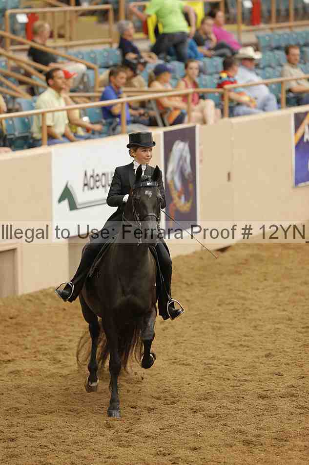 Proof Number 12yn_19739