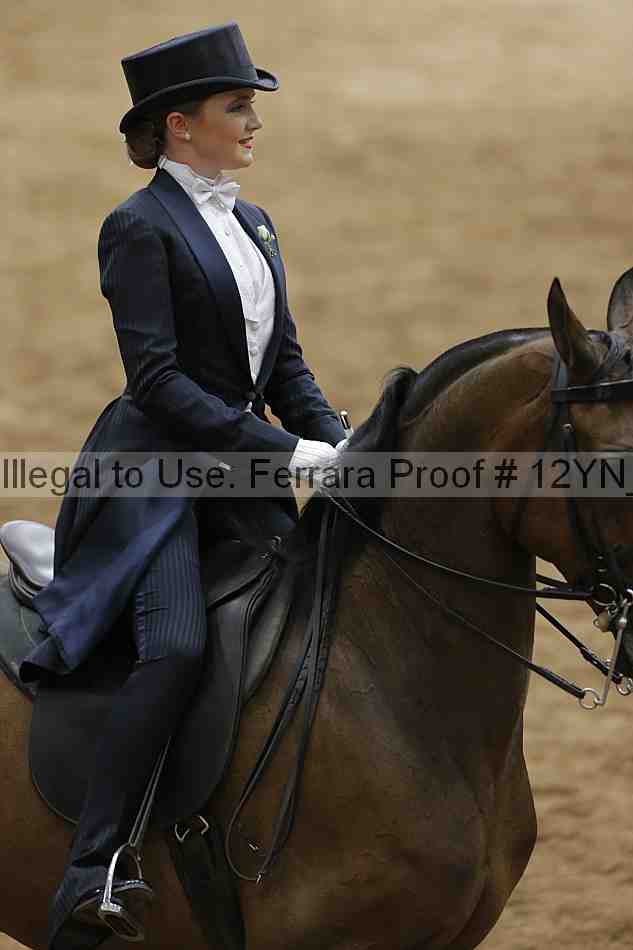 Proof Number 12yn_19764