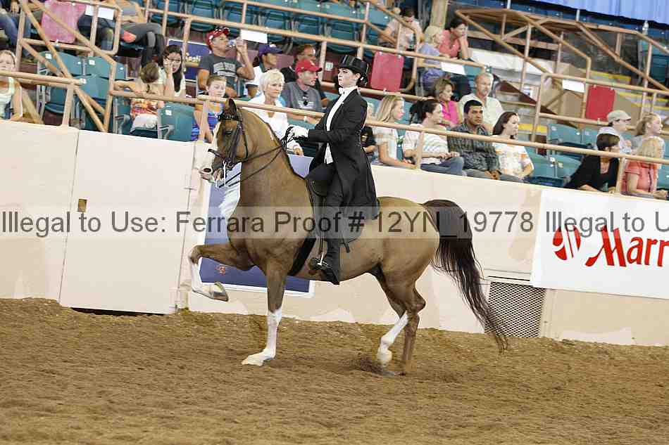 Proof Number 12yn_19778