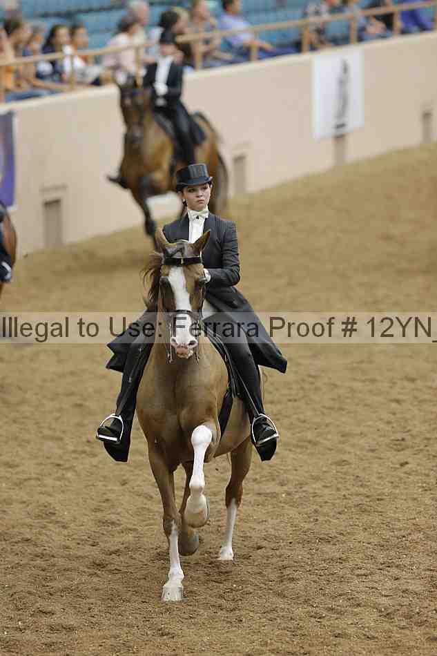 Proof Number 12yn_19781