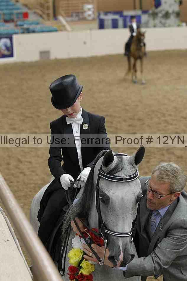 Proof Number 12yn_19827