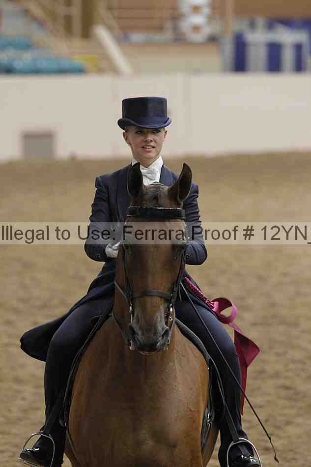Proof Number 12yn_19889