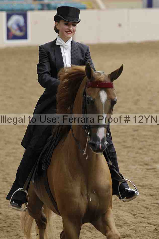 Proof Number 12yn_19909
