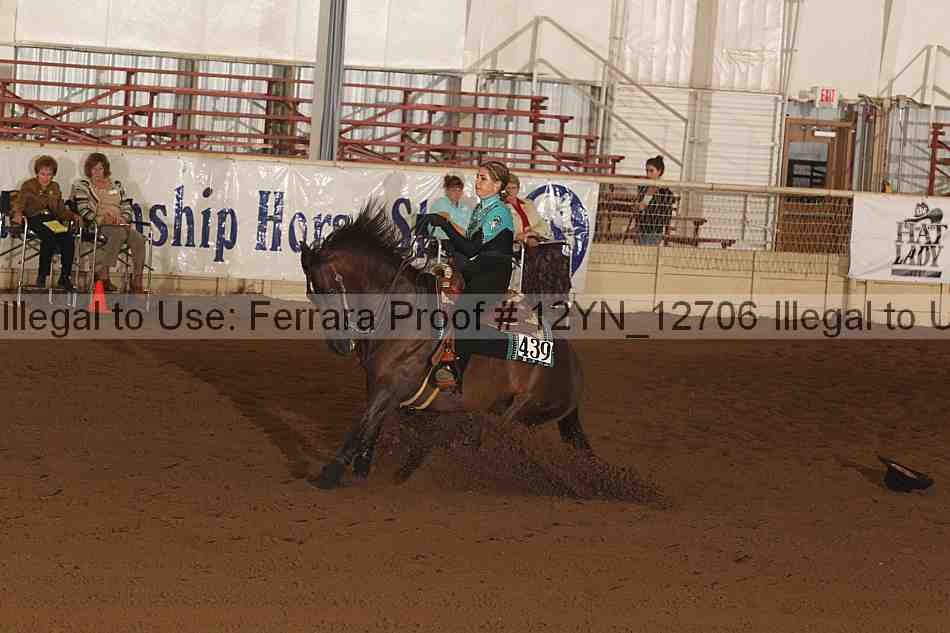 Proof Number 12yn_12706