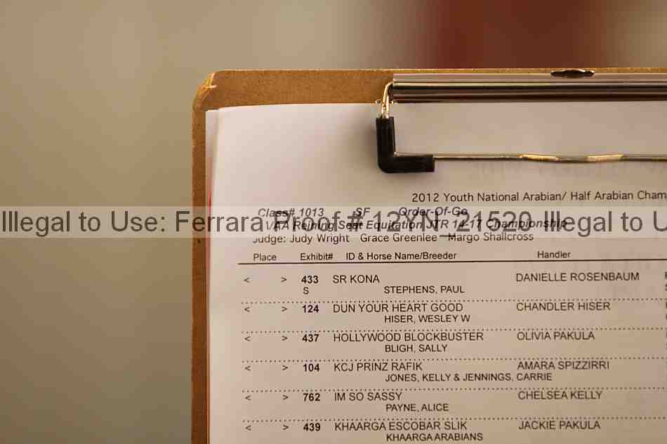 Proof Number 12yn_21520