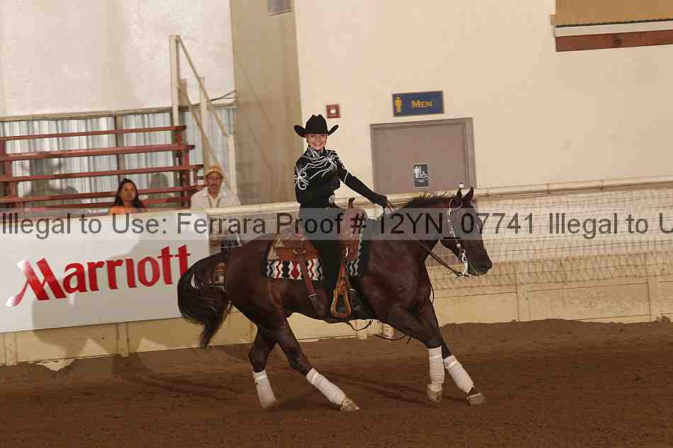 Proof Number 12yn_07741