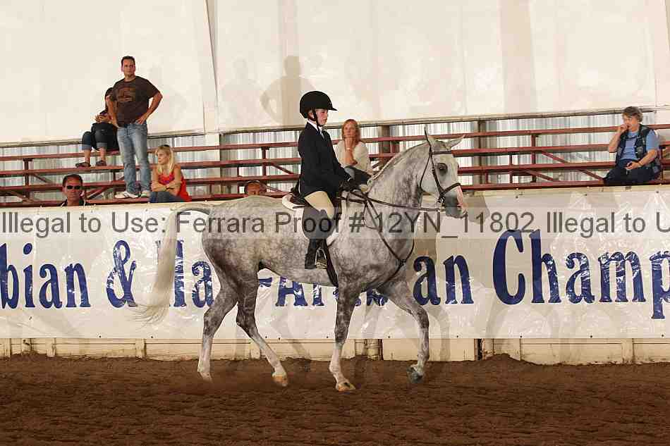 Proof Number 12yn_11802