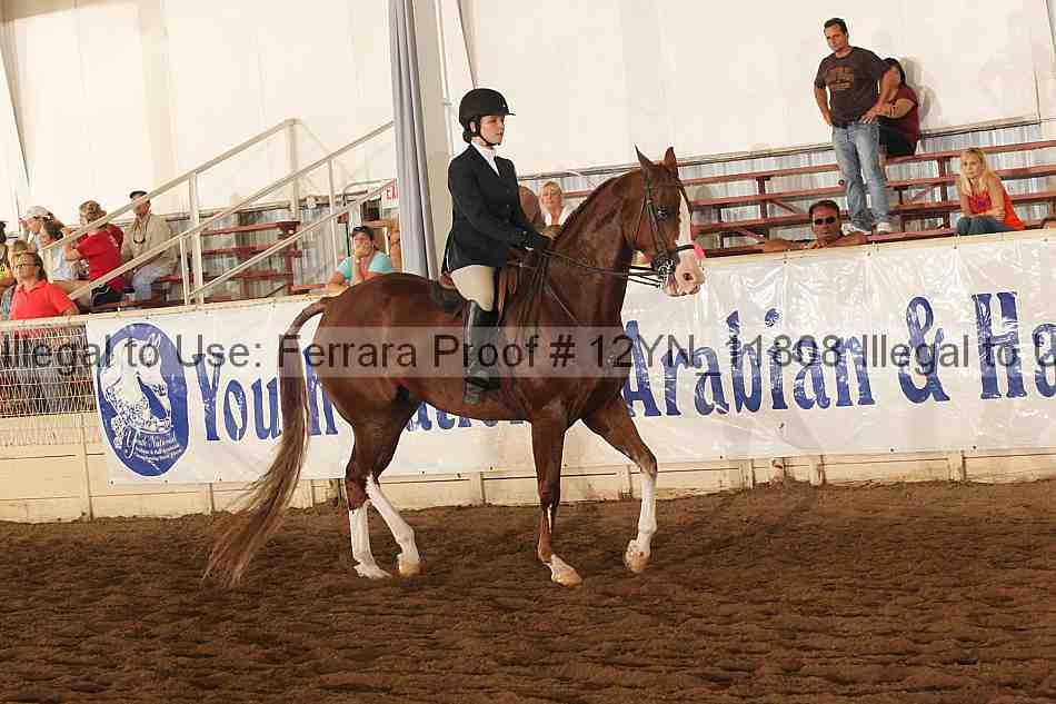Proof Number 12yn_11808